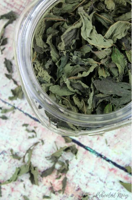 MINT 🍃 DRIED