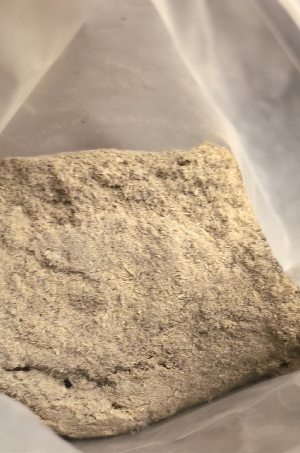 Burdock Root Powder 🫚Pure (premium)