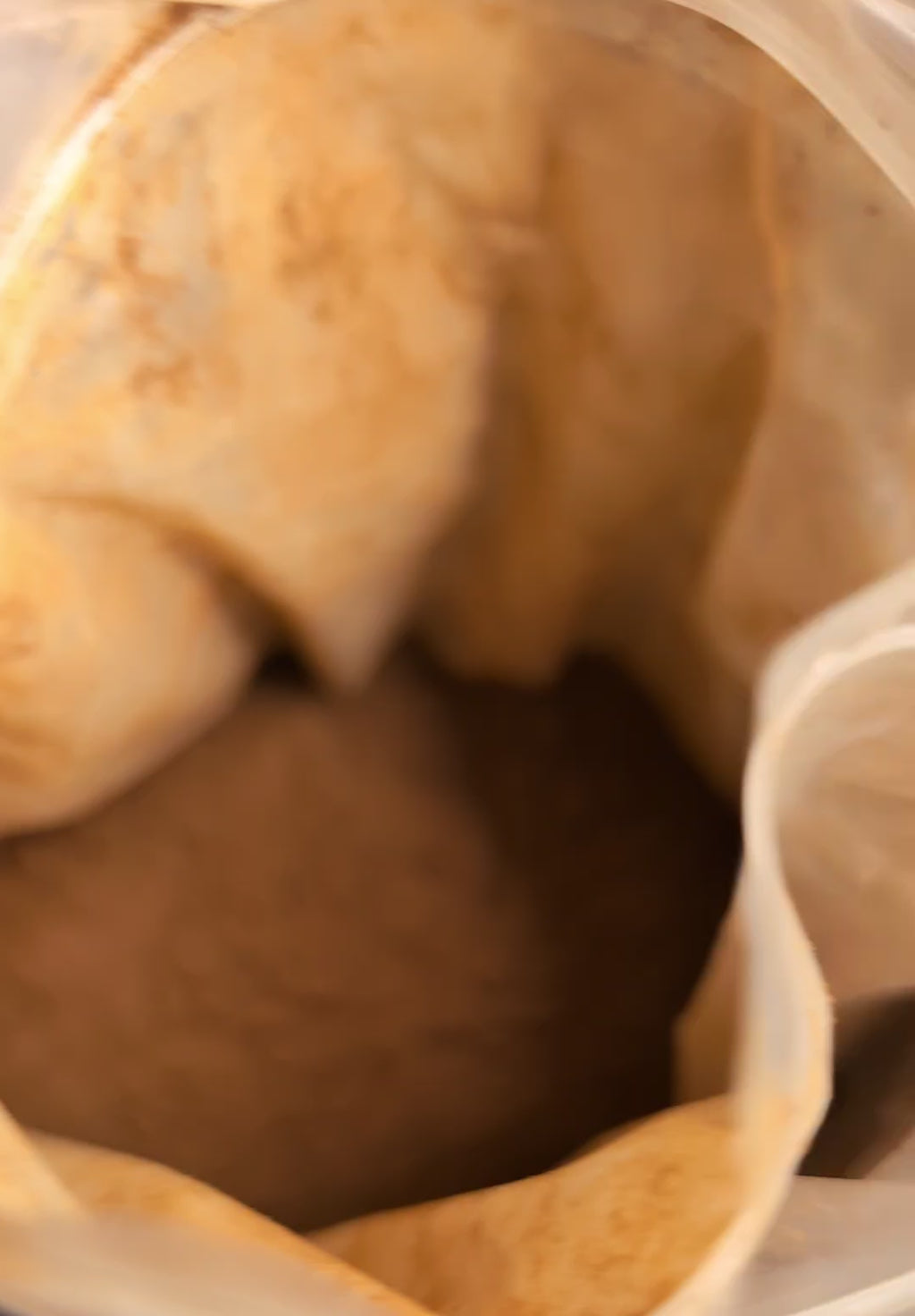 Dandelion Root Extract Powder🌻 Pure (premium)