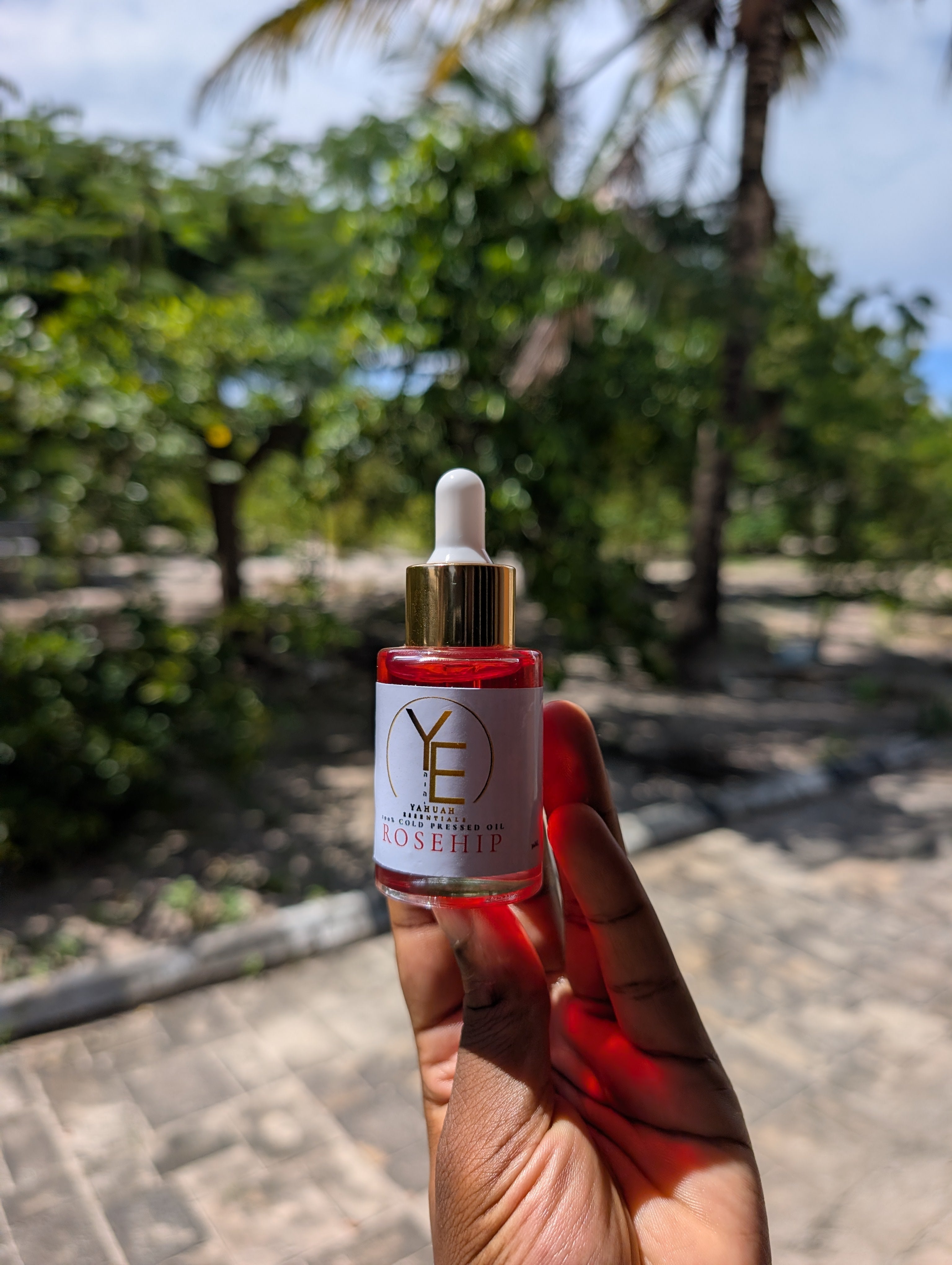 Rose Hip Oil ♥️ Pure (Red - Active compounds, premium)