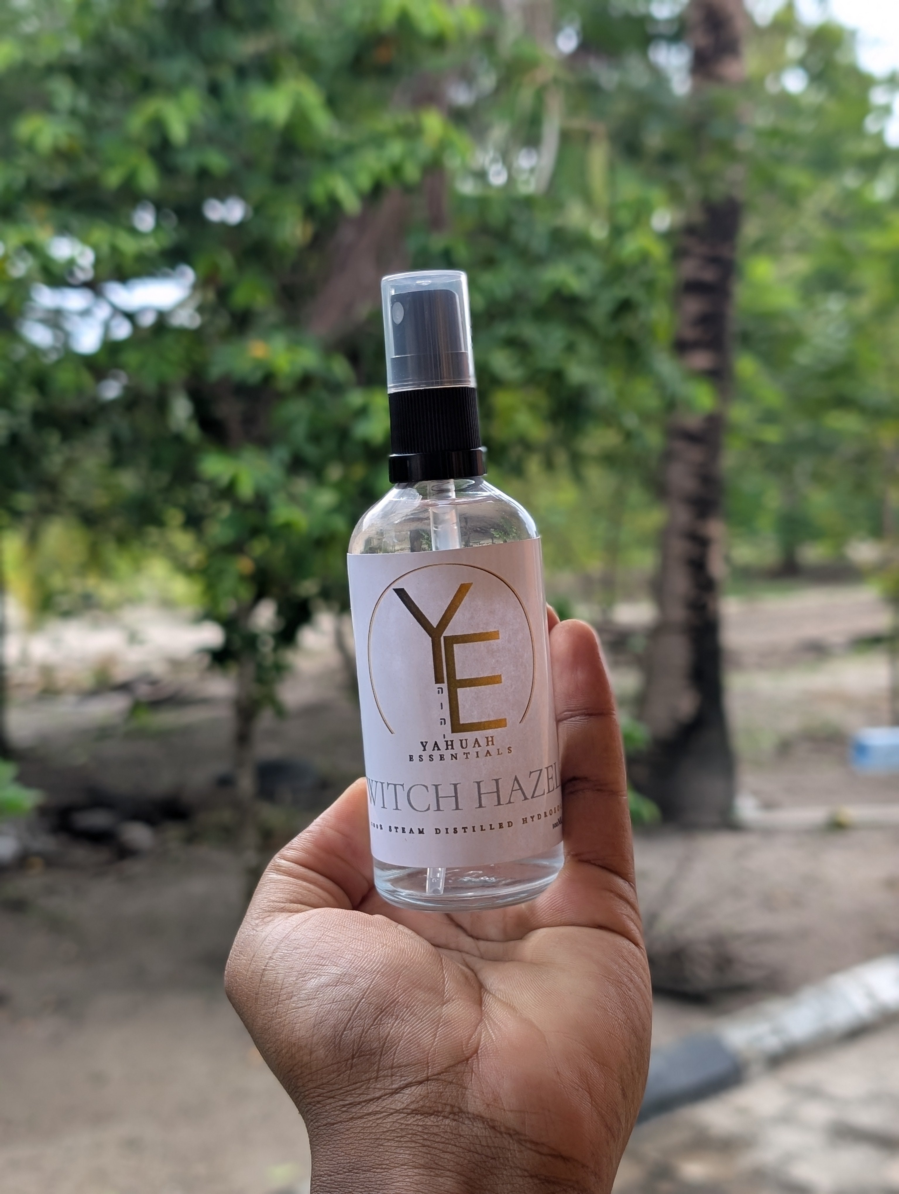 Witch Hazel Hydrosol 🌼 Pure (alcohol free,steam distilled, premium)