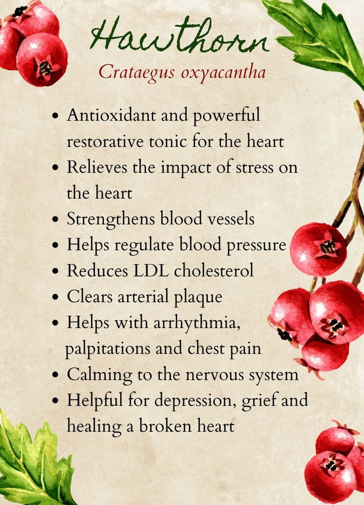 Hawthorne Berry Powder Extract🩷Pure (PINK, premium)