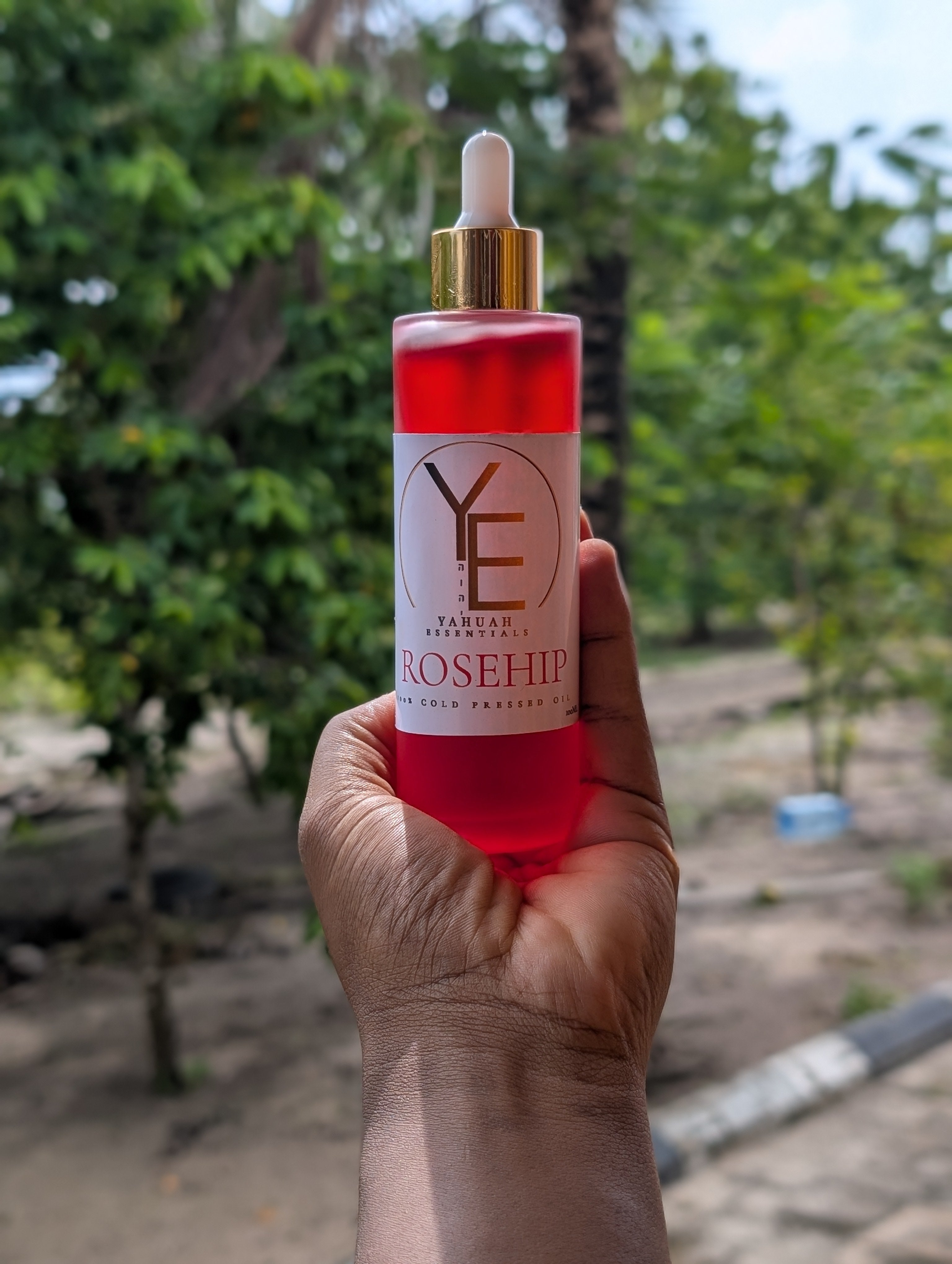 Rose Hip Oil ♥️ Pure (Red - Active compounds, premium)