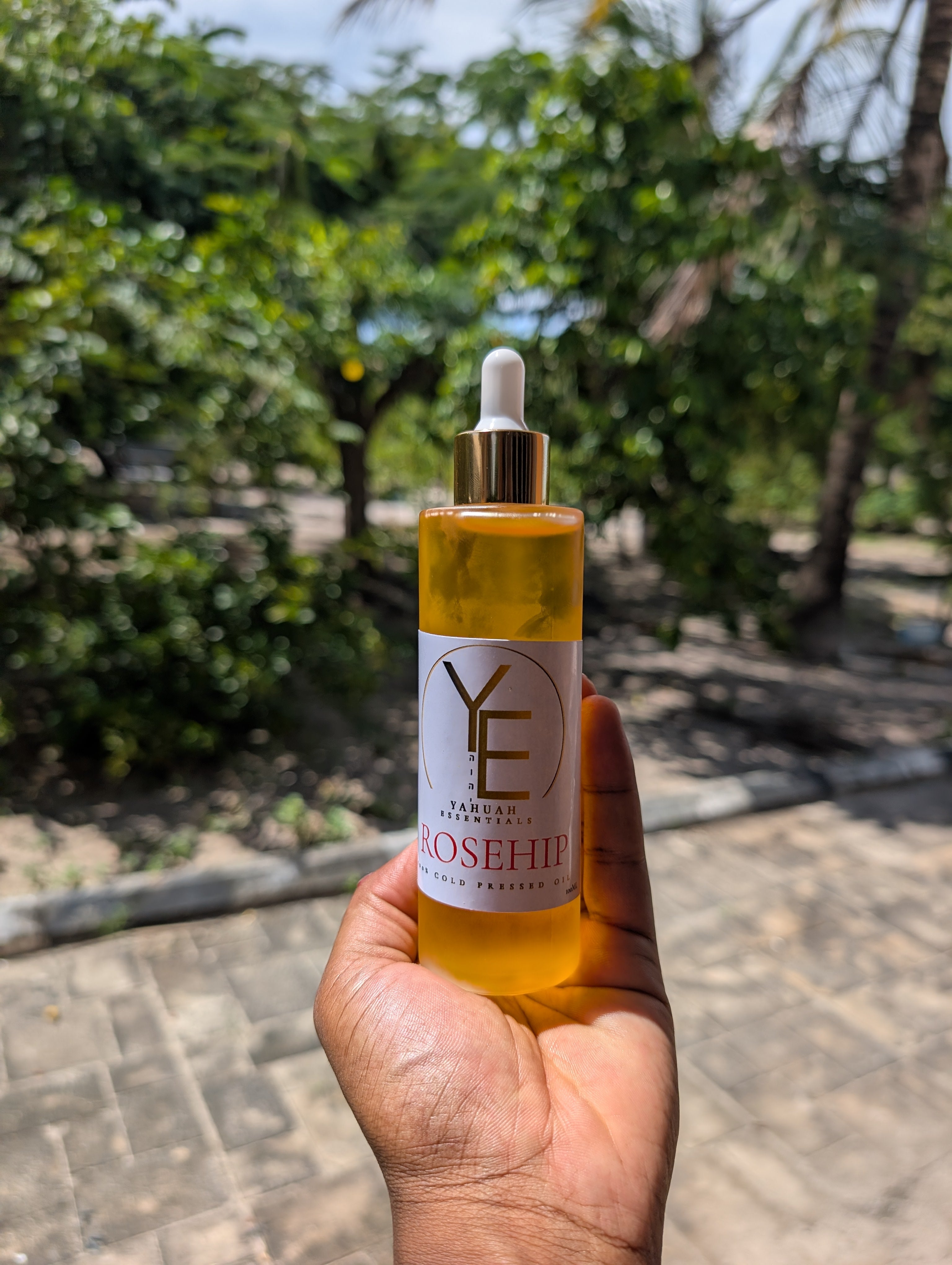 Rose Hip Oil ♥️ Pure (Red - Active compounds, premium)