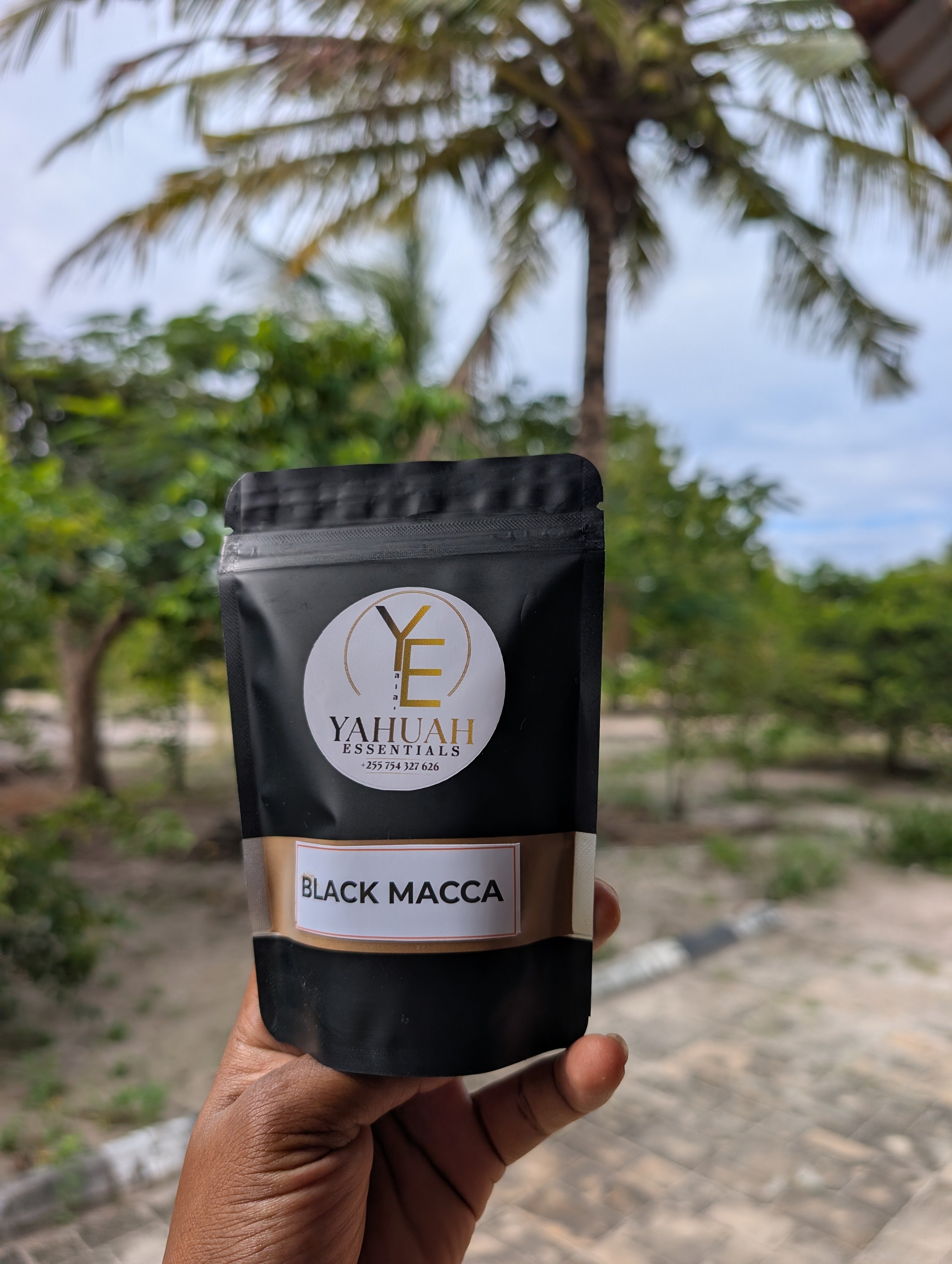 BLACK MACCA 🖤 (pure, extract powder, premium 10:1)