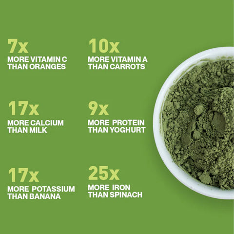 Moringa Powder 🌿Pure (premium)
