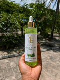 Aloe Vera 💚 (Gel | Extract)  (pure , Premium, food grade)