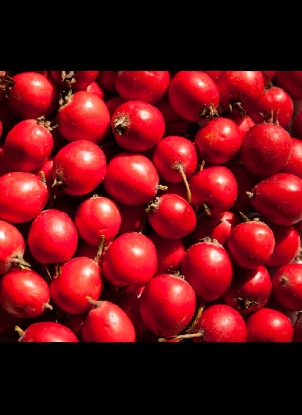 Hawthorne Berry Powder Extract🩷Pure (PINK, premium)
