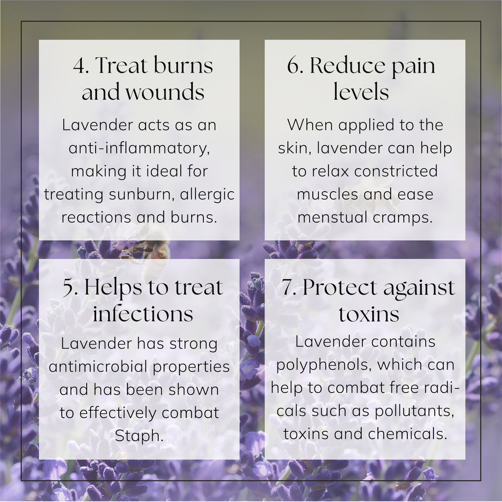 Lavender Buds Whole 🪻Pure (premium)