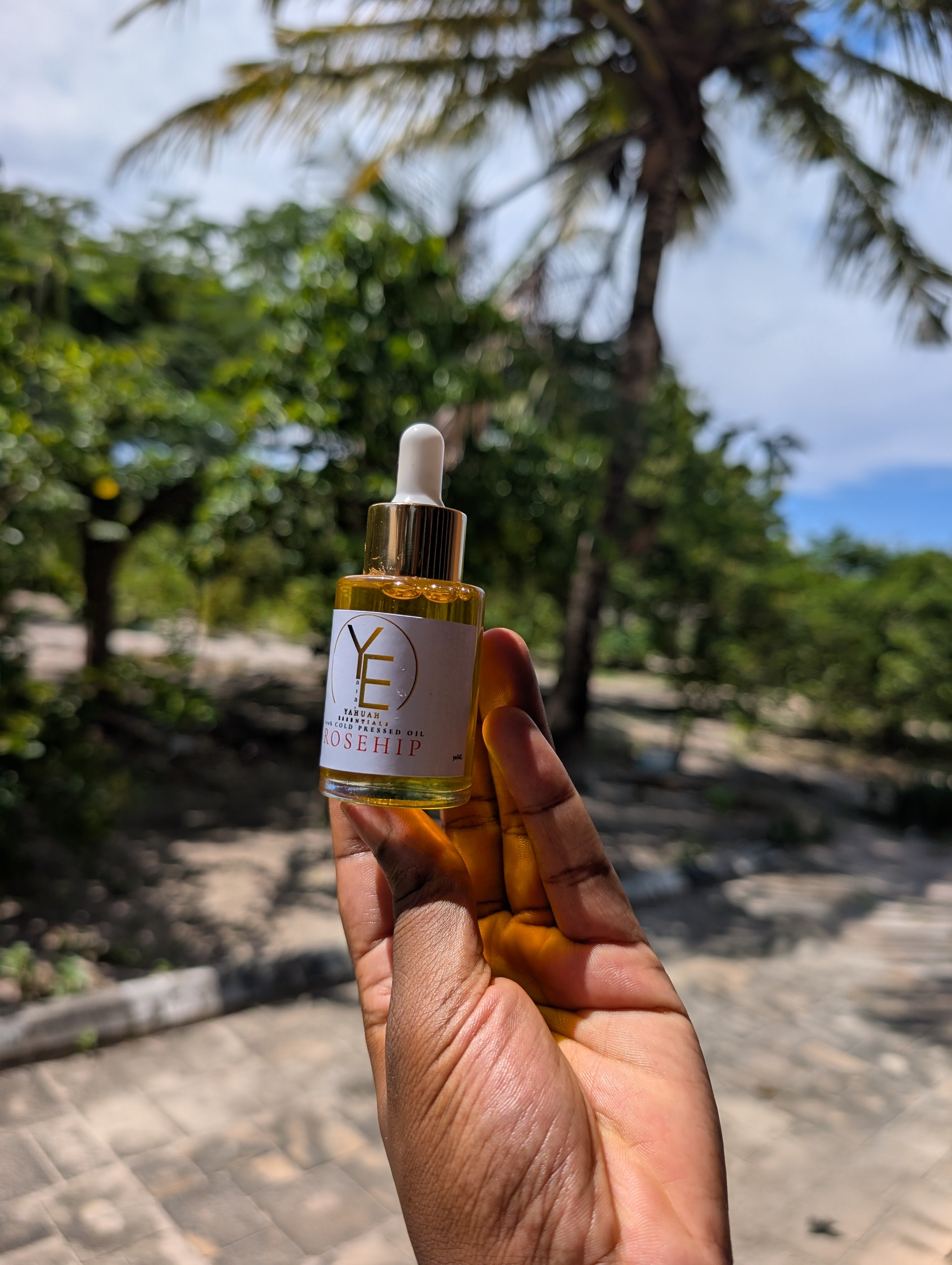 Rose Hip Oil ♥️ Pure (Red - Active compounds, premium)