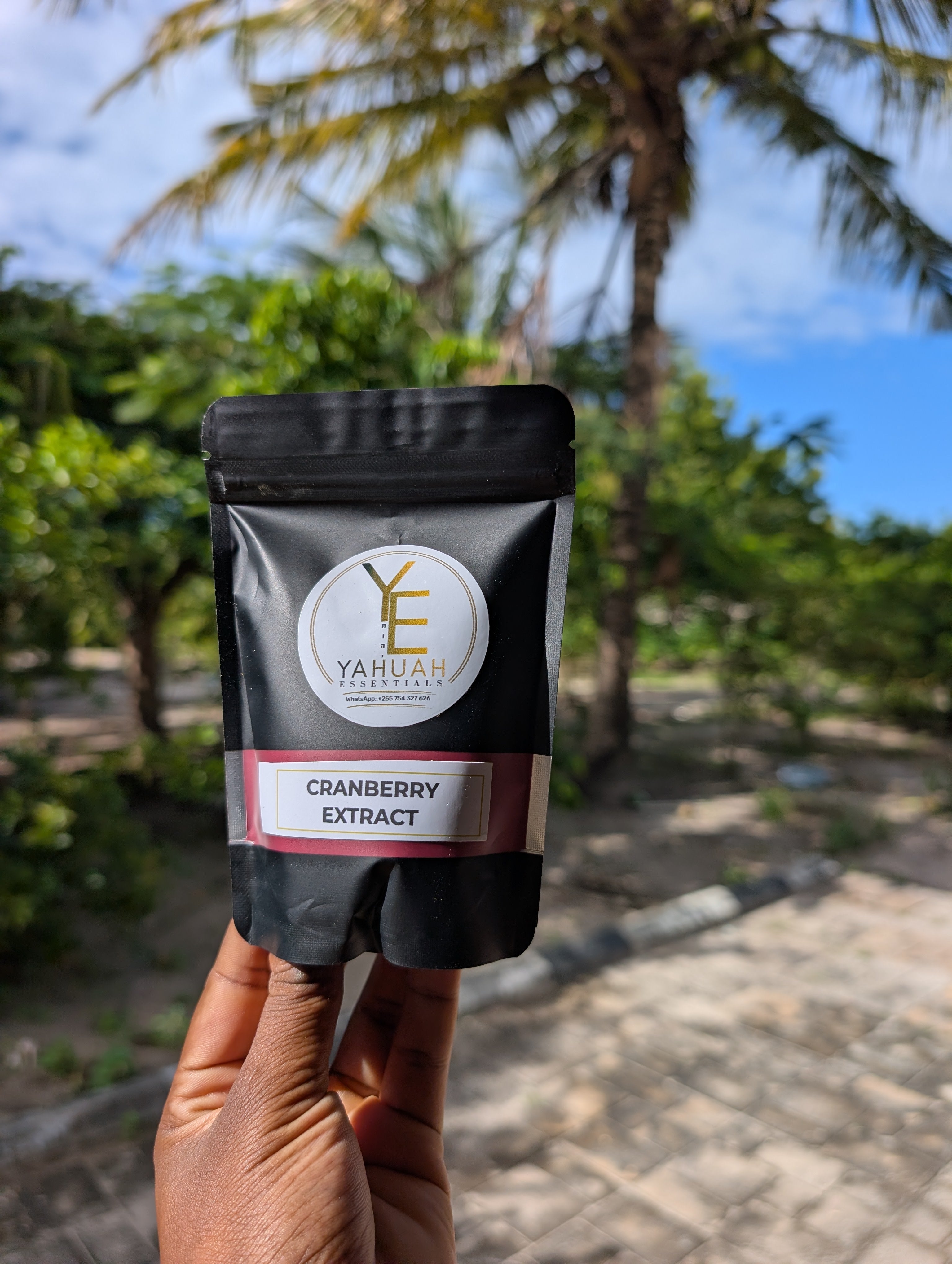 Cranberry Powder Extract 🍒Pure (premium)