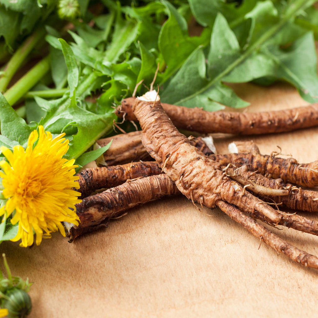 Dandelion Root Extract Powder🌻 Pure (premium)