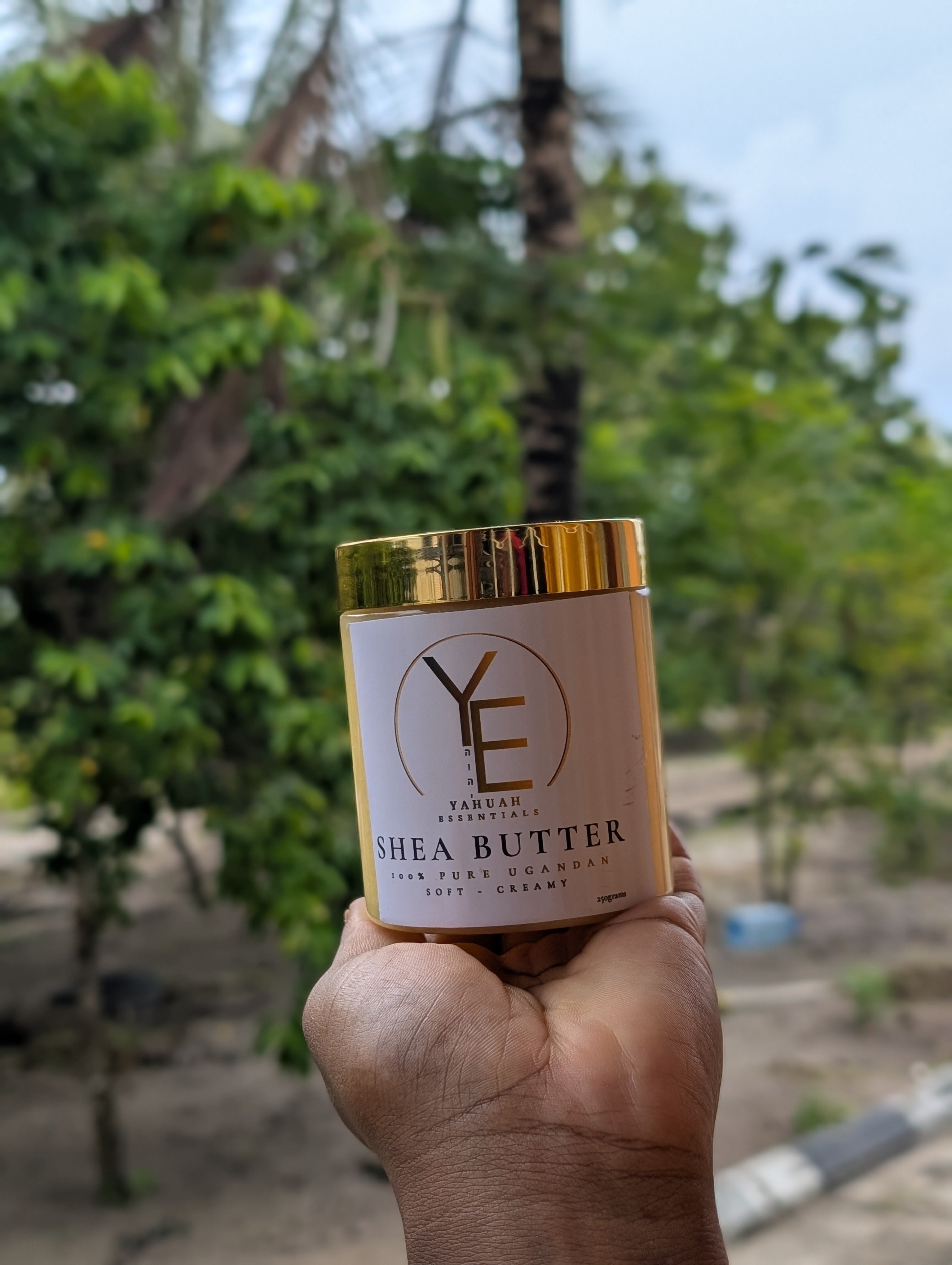 Shea Butter 🧈 Pure (UGANDA,unrefined,soft,creamy,premium)